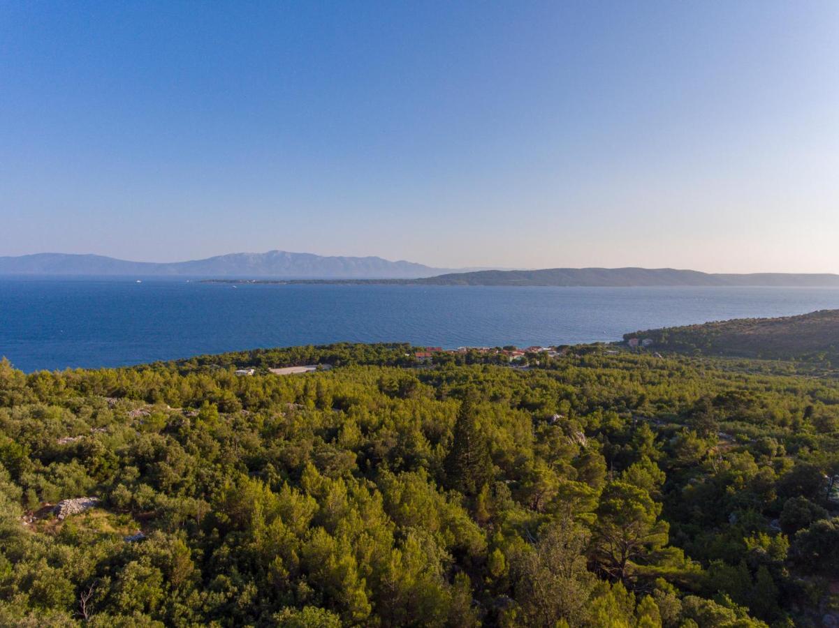 Villa Lavanda Zivogosce Drvenik (Split-Dalmatia)