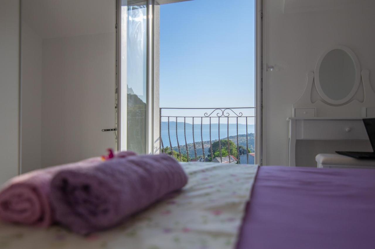 Lavanda Zivogosce * Drvenik (Split-Dalmatia)